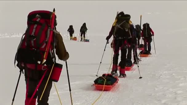 Escaladeurs avec raquettes et luges — Video