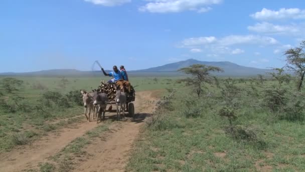 Horescart com pessoas na estrada de terra — Vídeo de Stock