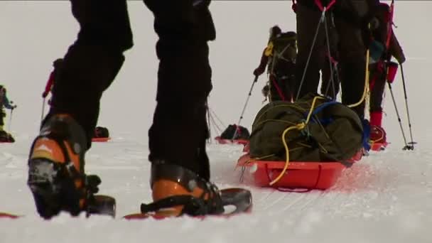 Escaladores de trineos y raquetas de nieve — Vídeos de Stock