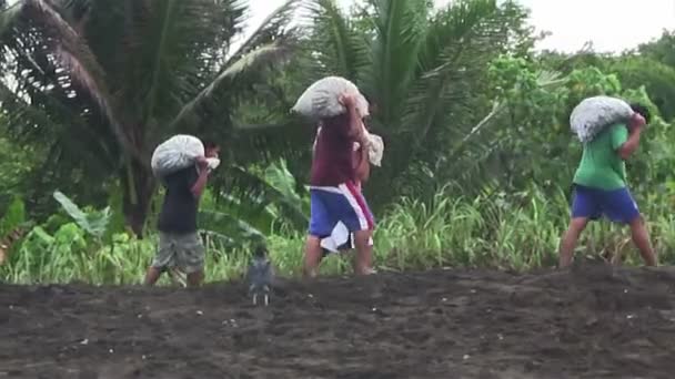 Menschen tragen Taschen in tropischem Land — Stockvideo