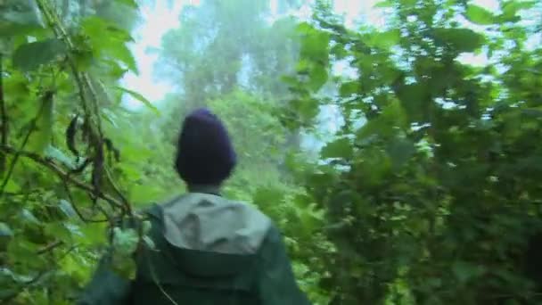 Män gå genom djungeln — Stockvideo