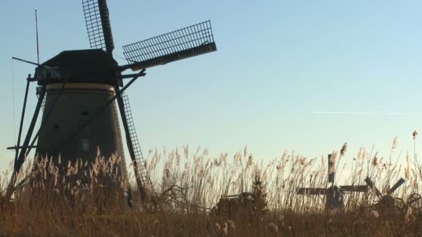 Windmills rises behind grass — Stock Video