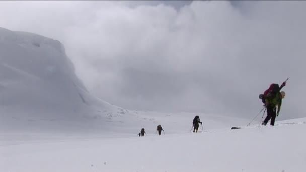 Escaladores ascendiendo en la nieve — Vídeos de Stock