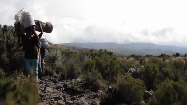 Motores que transportan equipo — Vídeos de Stock