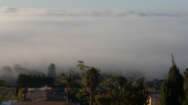 Niebla rueda en los vecinos de California — Vídeo de stock