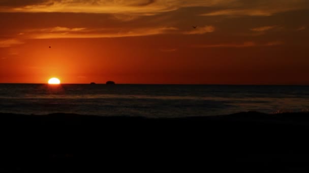 Vagues se brisant sur la plage au coucher du soleil — Video