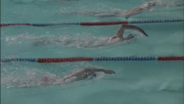 Nadadores nadam na piscina — Vídeo de Stock