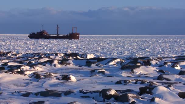 Een schip zit gevangen in het ijs — Stockvideo