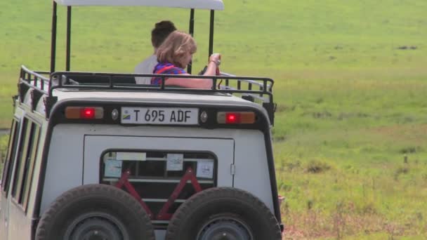I turisti guardano fuori da un veicolo safari — Video Stock