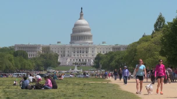 Turistas cerca de la cúpula del Capitolio — Vídeo de stock