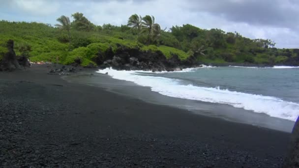 Fale rolki na plaży na Hawajach — Wideo stockowe