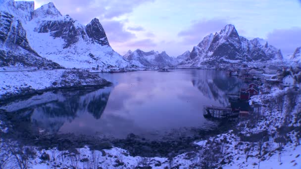 Λιμάνι στα νησιά Lofoten Αρκτική — Αρχείο Βίντεο