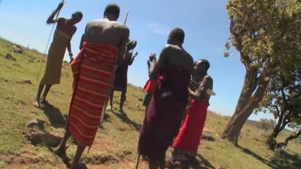 Воїни Масаї виконання ритуальних танців — стокове відео