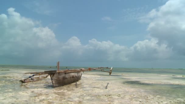 Romantic tropical island paradise — Stock Video