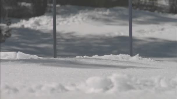 Pessoa está esquiando em uma competição — Vídeo de Stock