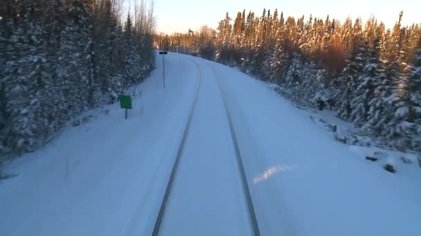 Поезд, проходящий через заснеженный ландшафт — стоковое видео