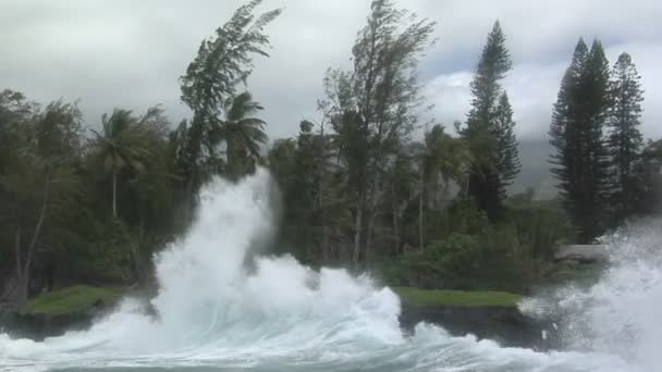 Storm slagmensen Hawaii met golven — Stockvideo