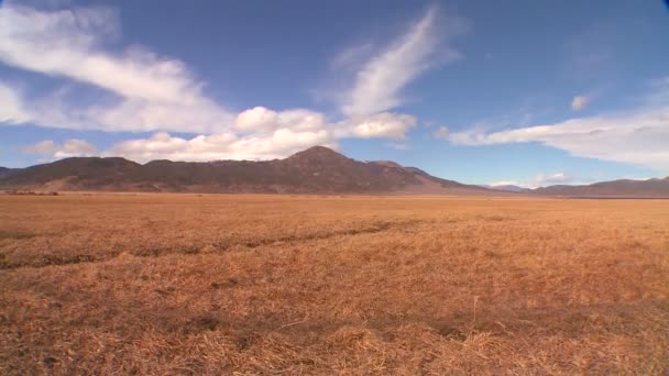 Wolken ziehen über Feld — Stockvideo