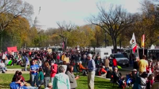 Protesters gather on the mall — Stock Video
