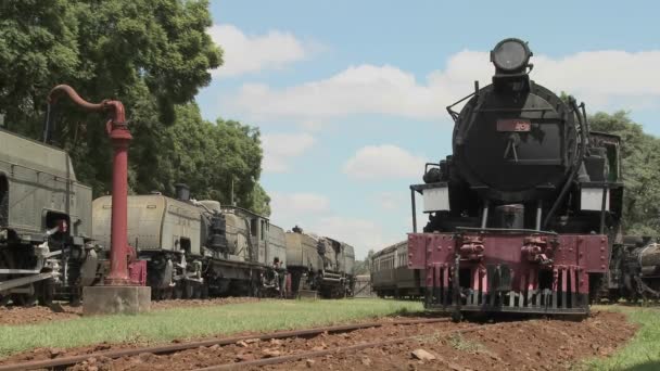 Velhos comboios a vapor enferrujados — Vídeo de Stock