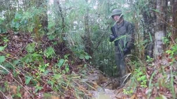 Mariniers zijn opgeleid in de jungle oorlogvoering — Stockvideo