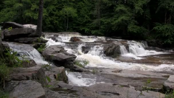 Een waterval stroomt door het bos — Stockvideo