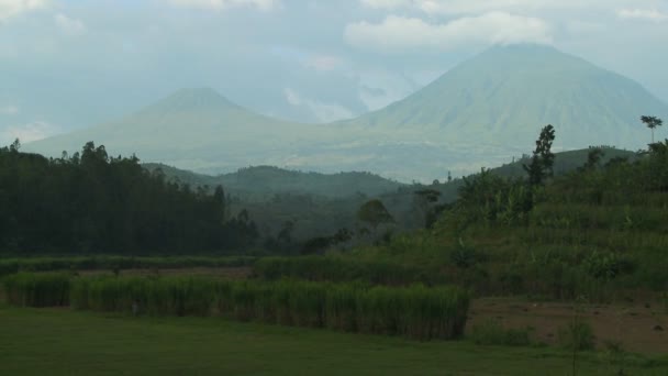 Volcán Virunga en la frontera entre Ruanda y Congo — Vídeo de stock