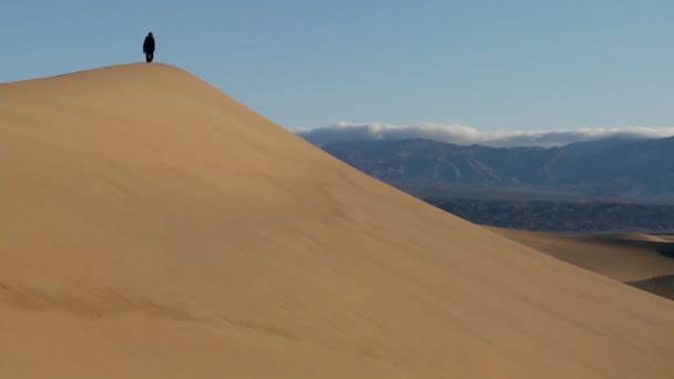 Uma pessoa salta para cima de uma duna do deserto — Vídeo de Stock