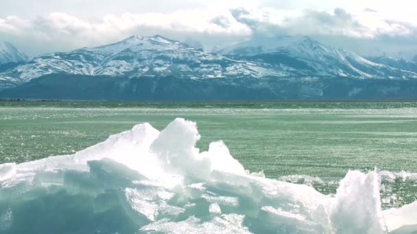 Ice former på stranden av sjön — Stockvideo