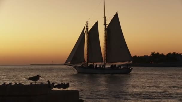 Um belo navio à vela — Vídeo de Stock