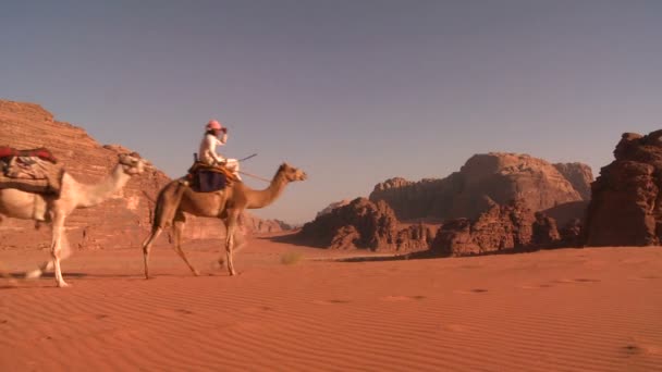 Верблюжий поезд проходит через пустыню Саудовской Аравии — стоковое видео