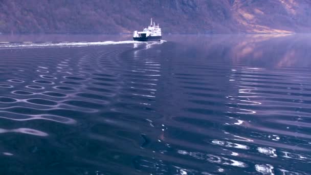 Båten seglar över en fjord Norge — Stockvideo