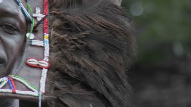 Masai warrior with full headdress. — Stock Video
