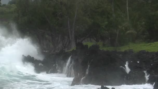 Tormenta golpea Hawaii con olas — Vídeos de Stock