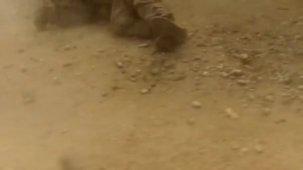 Soldats de l'armée engagés au combat — Video