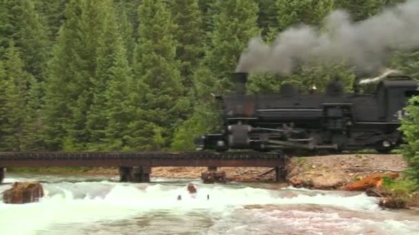 Поїзд, що перетинають міст над річкою в горах — стокове відео