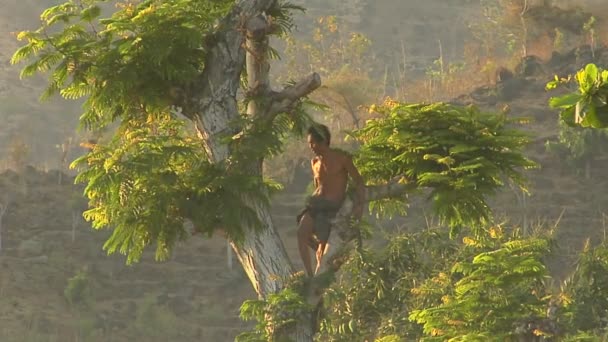 Un hombre corta ramas — Vídeos de Stock