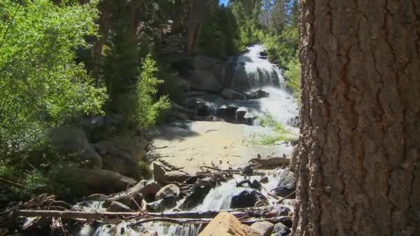 Ein schöner alpiner Wasserfall — Stockvideo