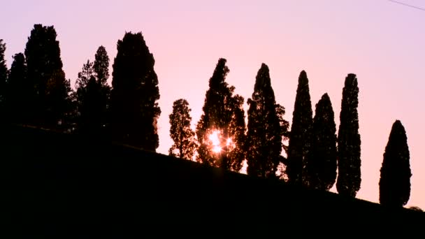 太阳落在树后面 — 图库视频影像