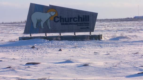 En skylt välkomnar besökare till Churchill — Stockvideo