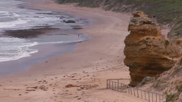 A traveler walks the sandy shore — Stock Video