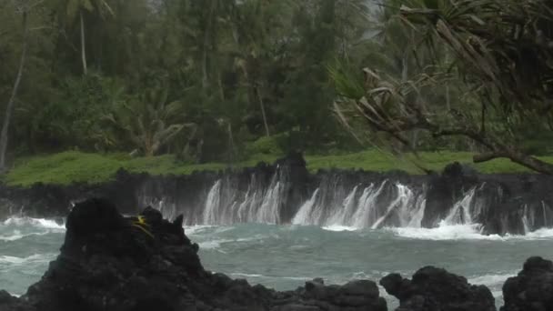 Storm slagmensen Hawaii met golven — Stockvideo