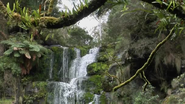 Высокий водопад проливается вниз — стоковое видео
