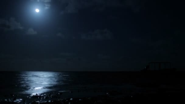 Lune au-dessus de l'eau de la plage — Video