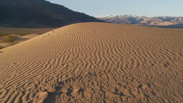 Dunas do deserto em um oásis — Vídeo de Stock