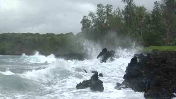 Sturm verwüstet Hawaii mit Wellen — Stockvideo