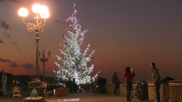 Árbol de Navidad con peatones — Vídeos de Stock