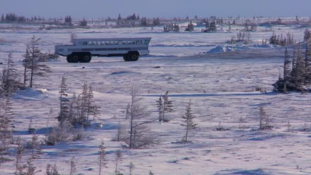 Багги краудсорсинговой компании Tundra передвигаются по замерзшим просторам — стоковое видео