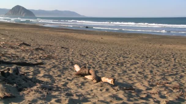 沿着海岸的大石头 — 图库视频影像