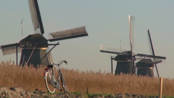 A bicycle parked along a path — Stock Video